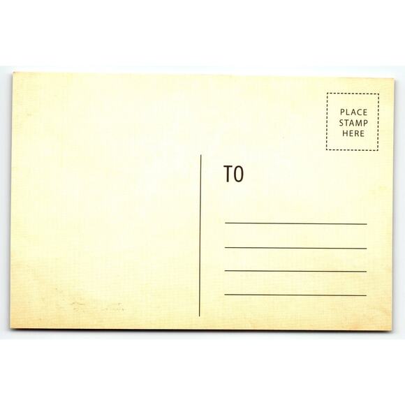 Vintage Halloween Black Beauty Skull Garden of Evil Chrome Postcard - Picture 2 of 2